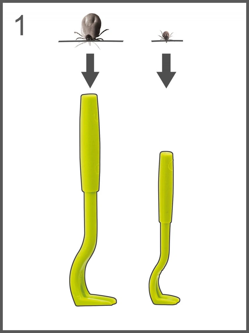 Flåttang (koben) Tick Twister